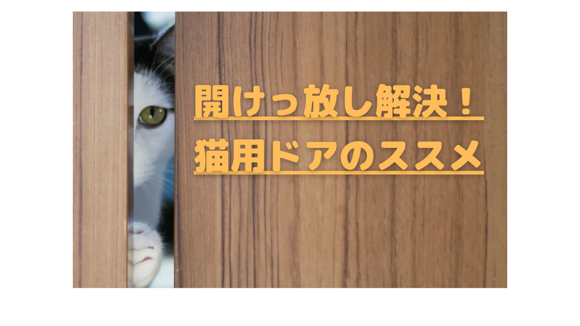 猫ドアで扉の開けっ放しが解決！メリットとデメリットをタイプ別に紹介